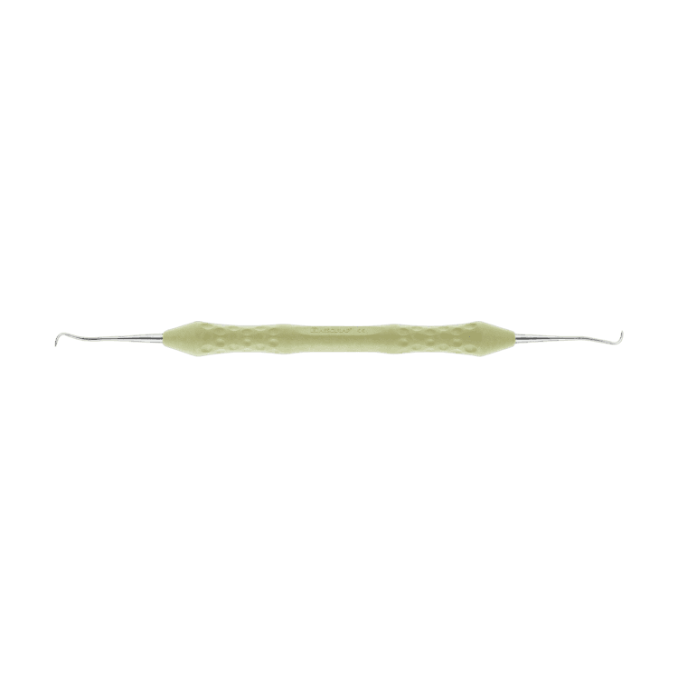 SPEZIAL SCALER ANATOMIC COLOURS