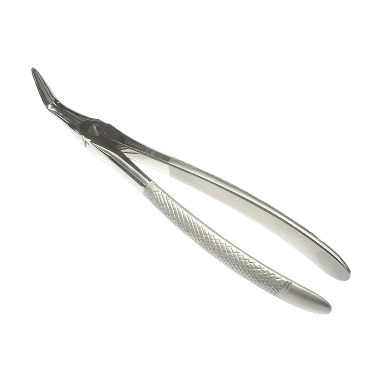 Dental Extraction Forceps