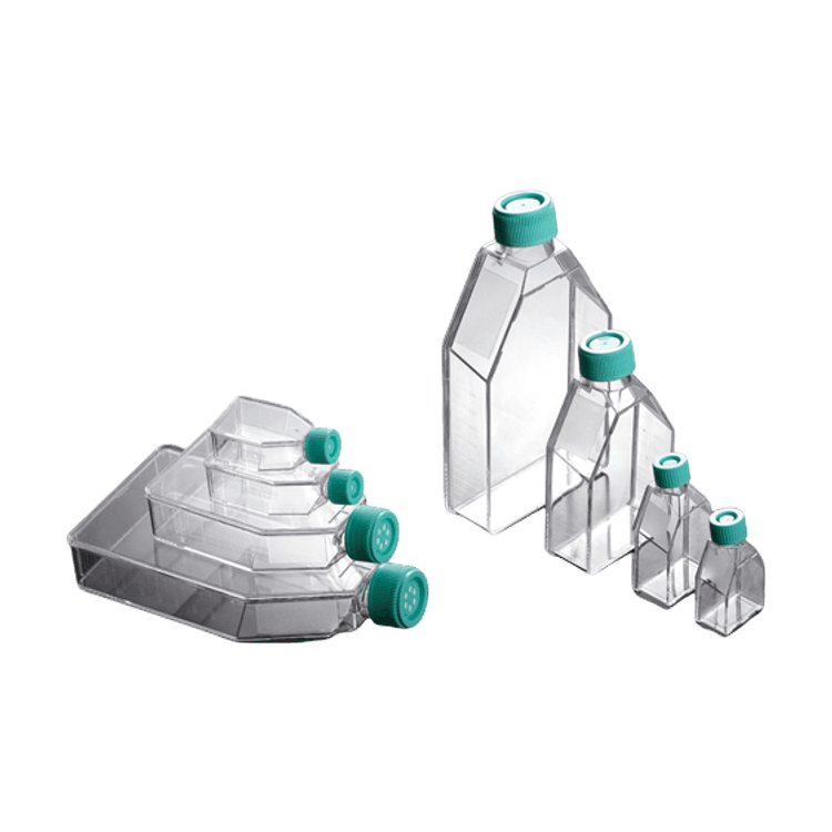 Cell Culture Flask