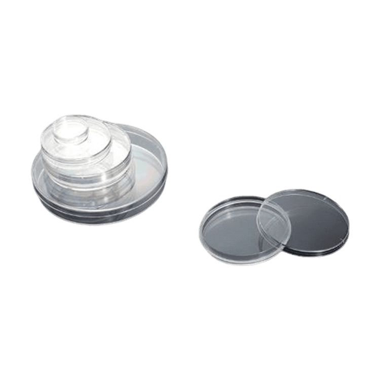 Petri Dish