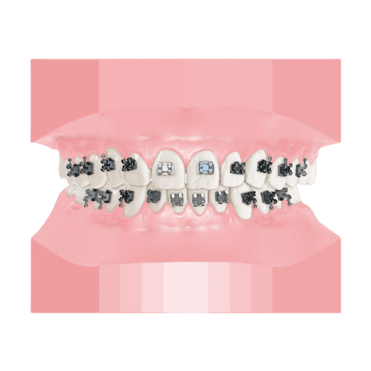 Dental Studio Expert Viewer