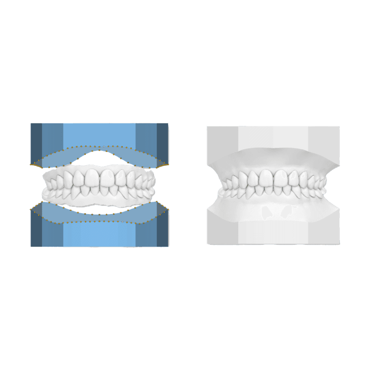 Ortho Studio