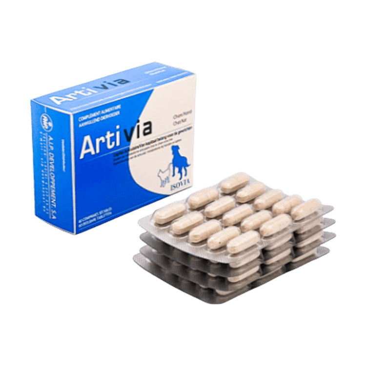 Artivia