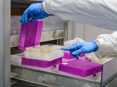 A laboratory technician wearing blue nitrile gloves retrieves a rack of sample vials from a cold storage freezer unit.