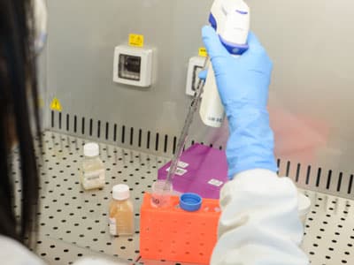 A researcher in a clean room environment uses a pipette to transfer liquid samples within a stainless steel laboratory fume hood.