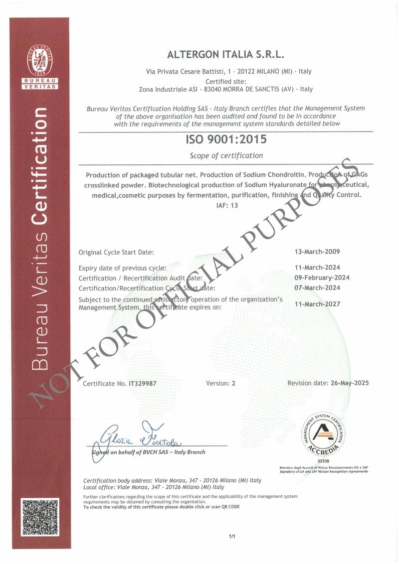 Altergon Italia ISO Certificate