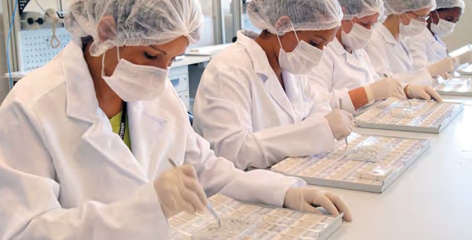 Workers in white lab coats, hairnets, and masks perform precise assembly tasks on small components at a clean production facility workstation.