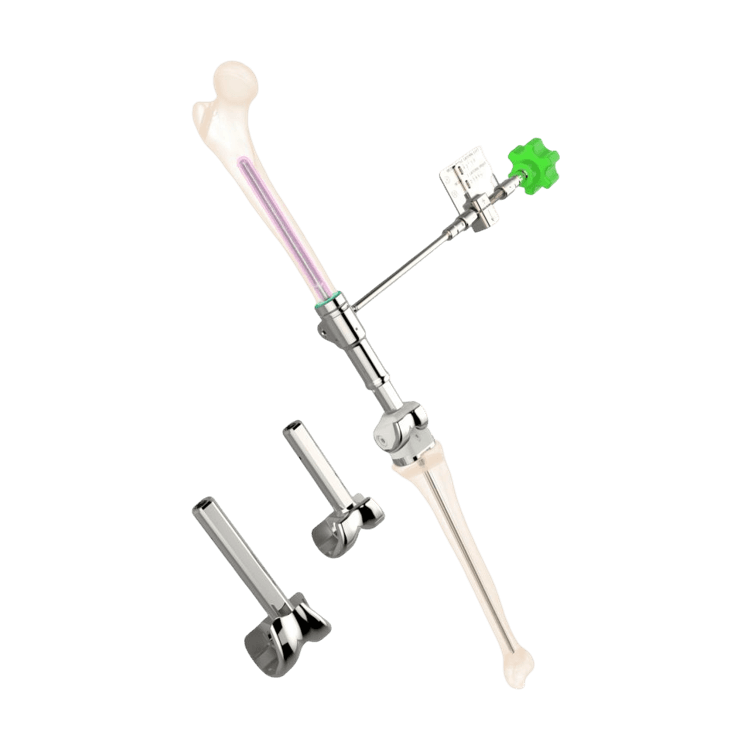 Growing Femur Endoprosthesis