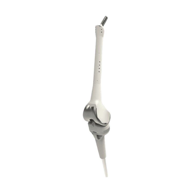 CMS Total Knee Replacement with Full Femur