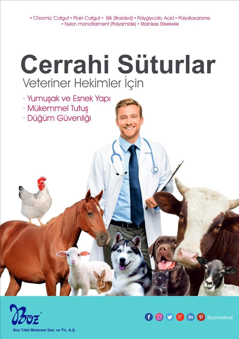 Plain Catgut Suture Spec Sheet