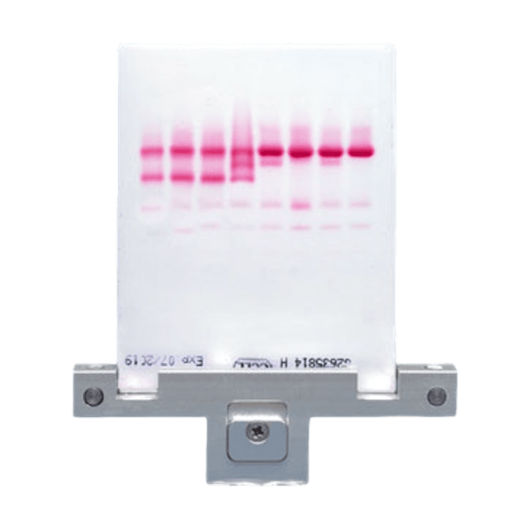 Electrophoresis Kits
