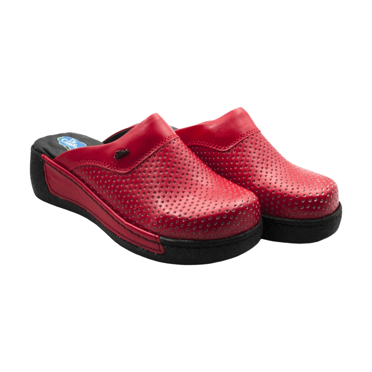 Medical Clogs