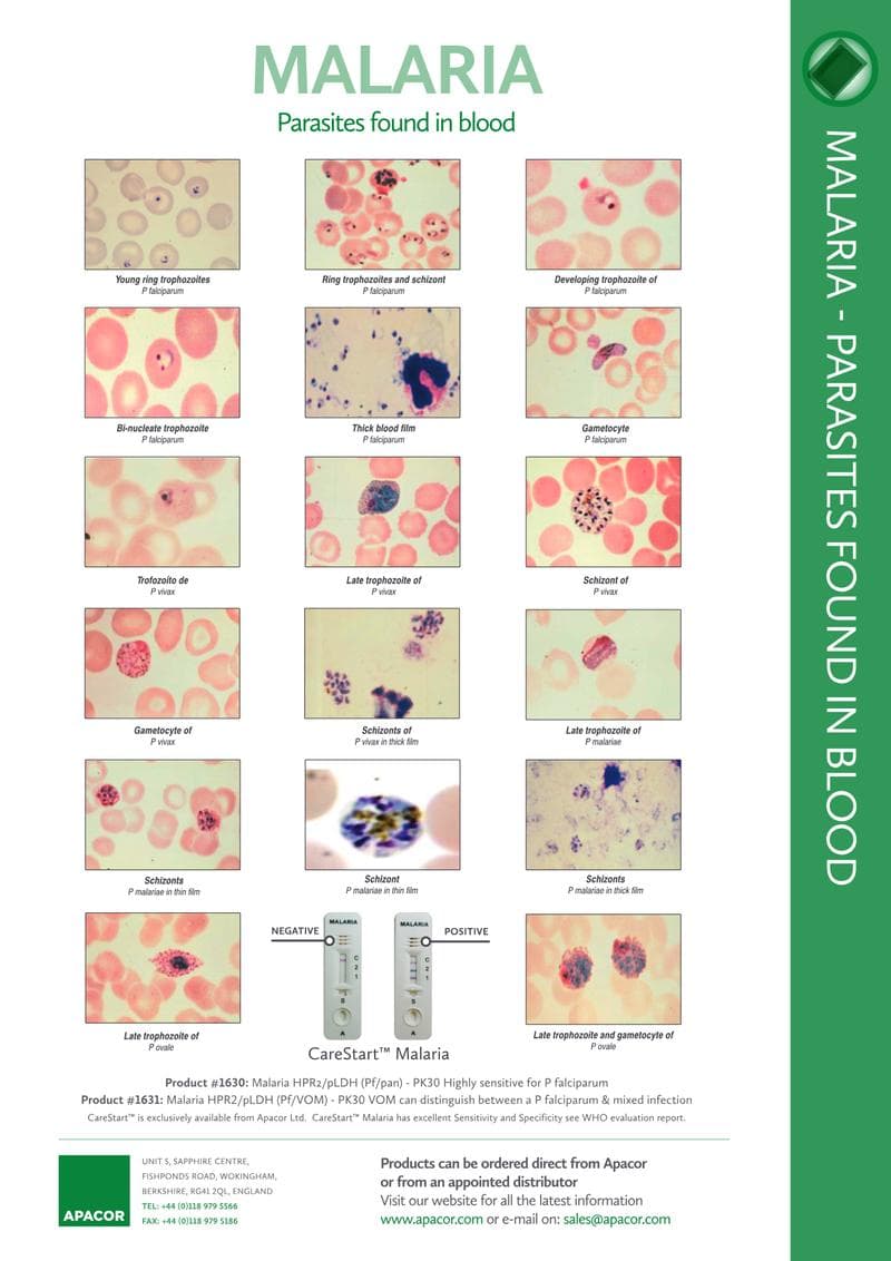CareStart Covid-19 Tests Brochure