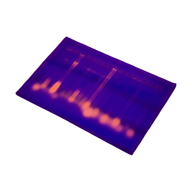 Cellulose Acetate Membranes