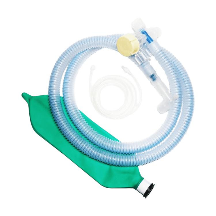 Anesthesia Breathing Circuit