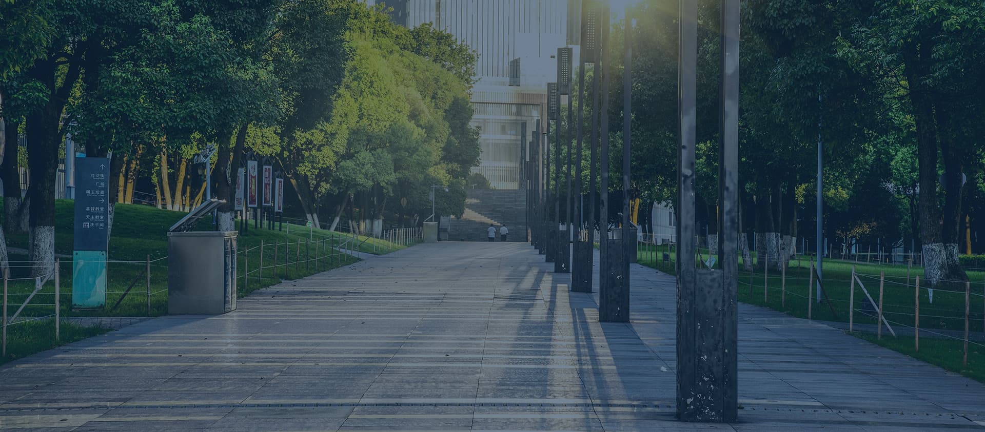 Tree-lined avenue at the Alliage campus (sustainability / ESG)