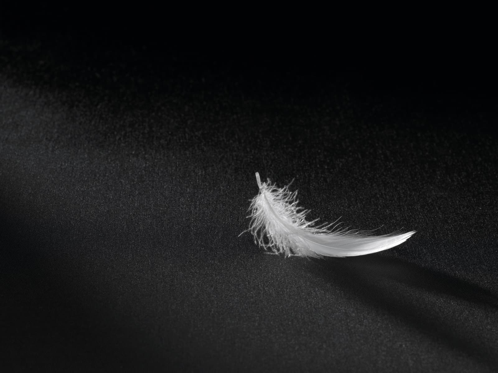 PAX Light material: lightweight fabric demonstration