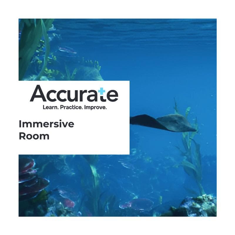 Immersive Room: Brochure (v4)