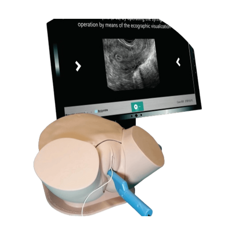 SonoHysteroSim: Advanced Sonohysterography Simulator
