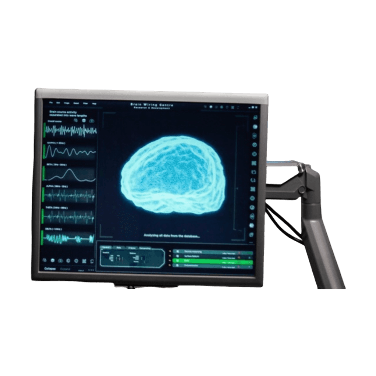 EEGSim: ElectroEncephaloGram Simulator