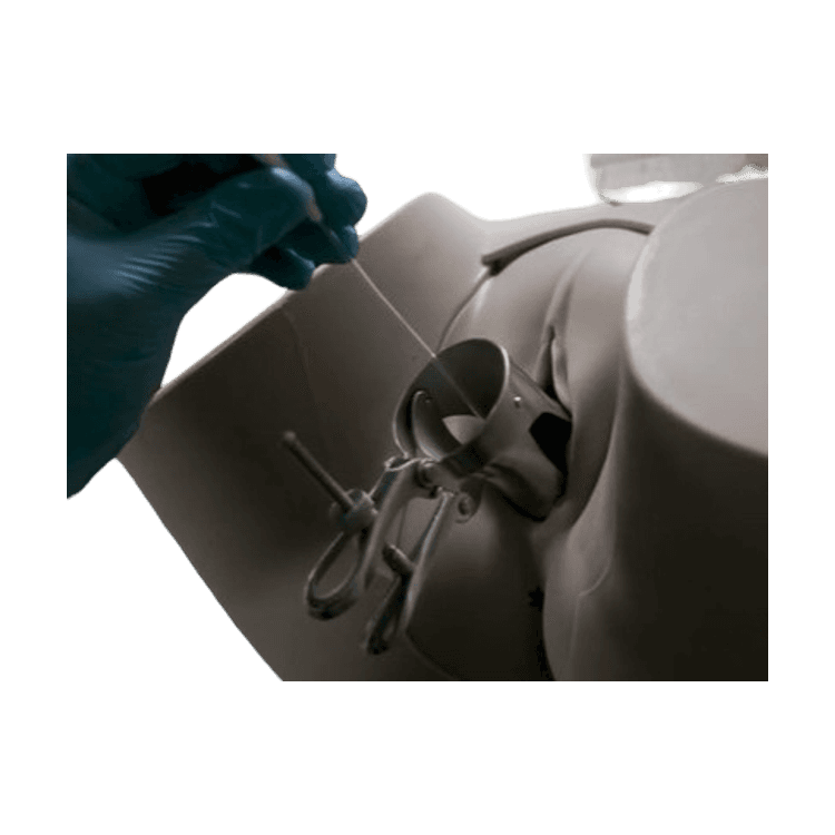 TransferSim: Advanced Embryo Transfer Simulator