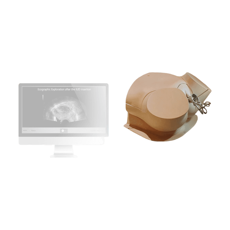 Preciso: Advanced Intra-Uterine Device (IUD) Insertion Simulator