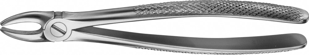 ANATOMICA ZAHNZANGEN