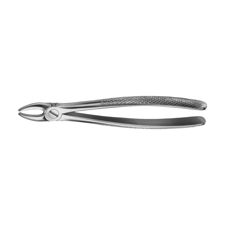 ANATOMICA ZAHNZANGEN