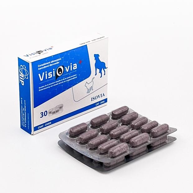 Visiovia+