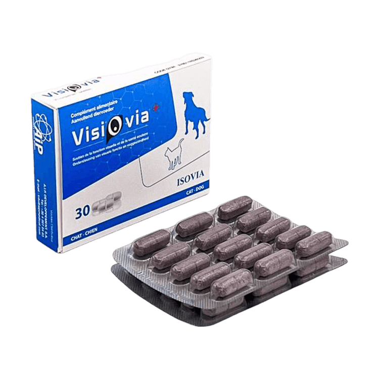 Visiovia+