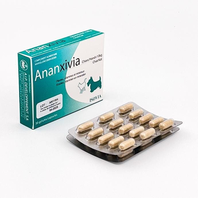 Ananxivia