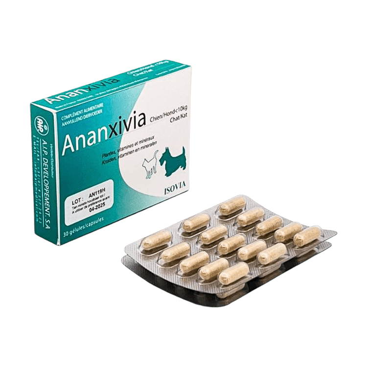 Ananxivia
