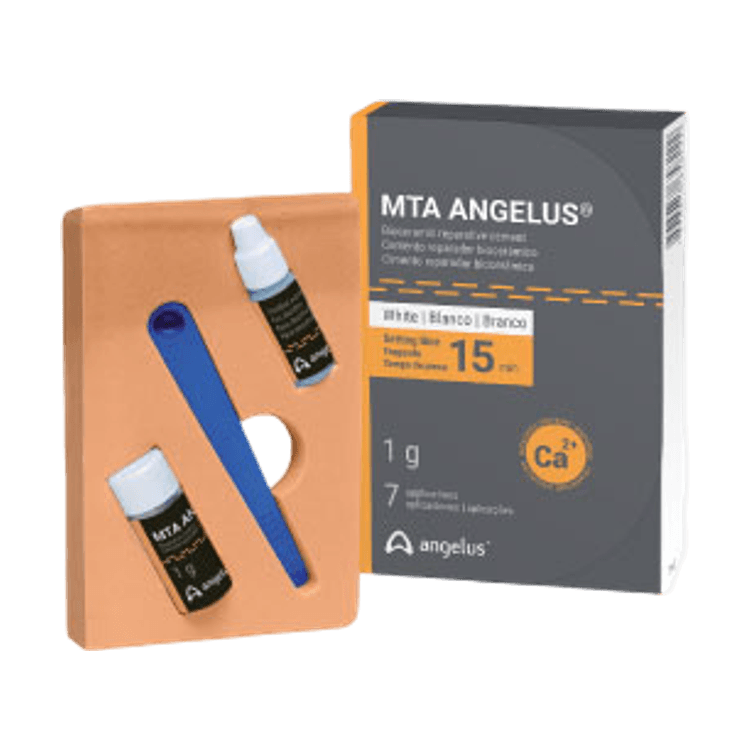 MTA Angelus