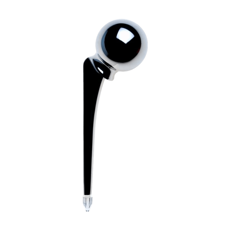 BEZNOSKA Cervicocapital Hip Stem