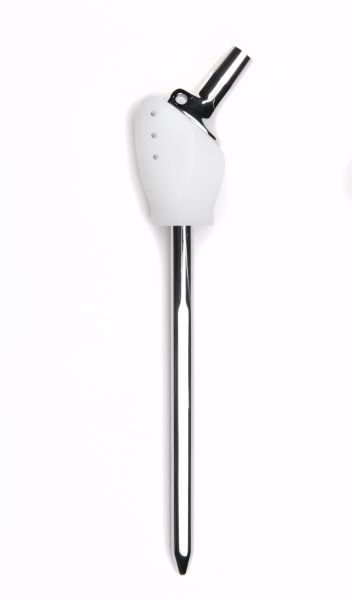 Total Hip Replacement with Partial Femur