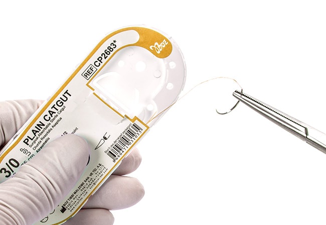 Plain Catgut Suture
