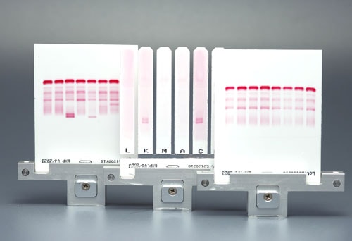 Cellulose Acetate Membranes