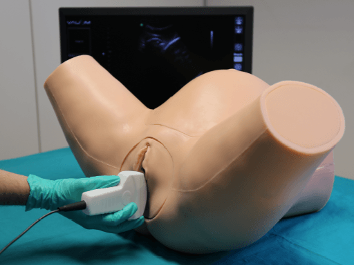 IUSim: Intrapartum Ultrasound Simulator