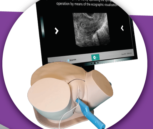 SonoHysteroSim: Advanced Sonohysterography Simulator