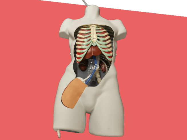 PerfusionSim: Task Trainer for NRP and REBOA